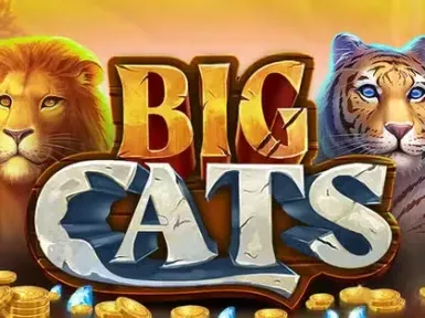 FeliceBet Casino screenshot